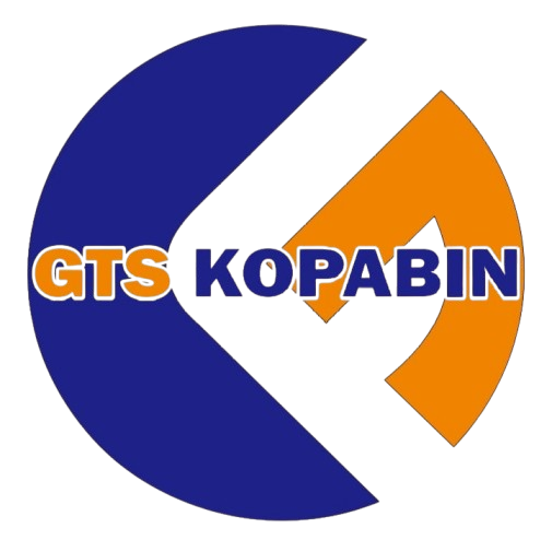 Logo GTS App